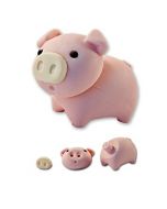 Eraser pig
