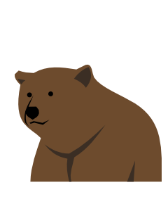 Bär Token