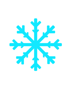 Snowflake Token