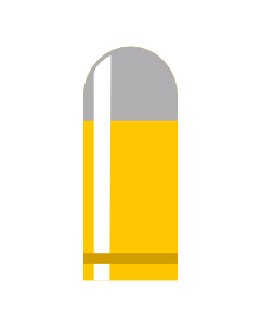 Bullet Token