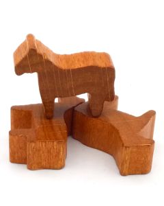 Wild horses