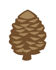 Pine cone Token