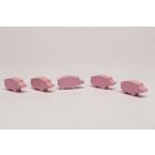 Pigs, pork- from 500 pieces